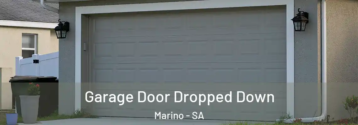  Garage Door Dropped Down Marino - SA