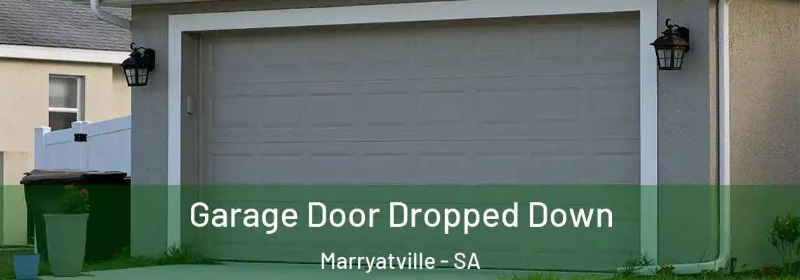 Garage Door Dropped Down Marryatville - SA