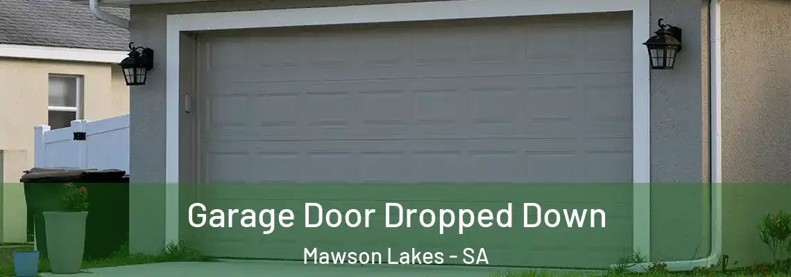  Garage Door Dropped Down Mawson Lakes - SA