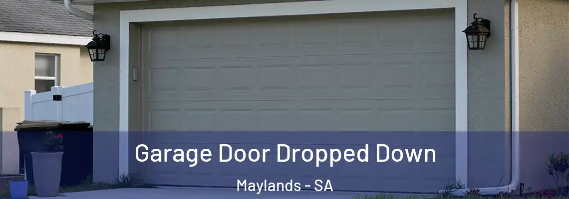  Garage Door Dropped Down Maylands - SA