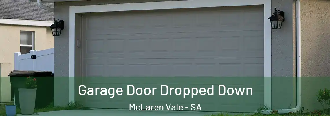  Garage Door Dropped Down McLaren Vale - SA