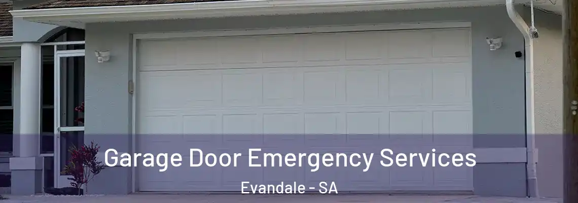  Garage Door Emergency Services Evandale - SA