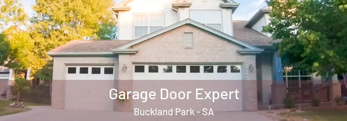  Garage Door Expert Buckland Park - SA