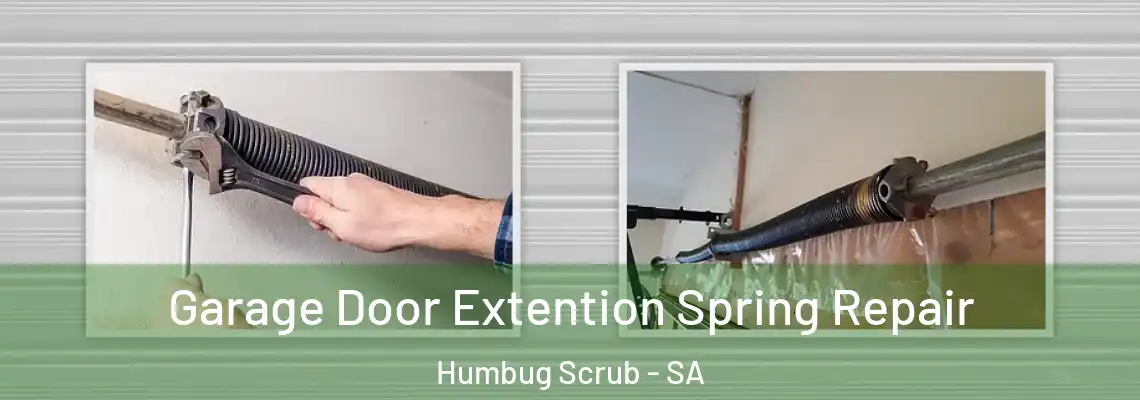 Garage Door Extention Spring Repair Humbug Scrub - SA