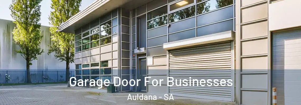  Garage Door For Businesses Auldana - SA