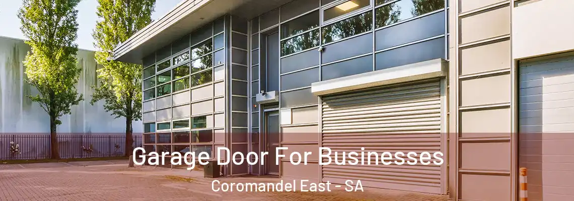  Garage Door For Businesses Coromandel East - SA