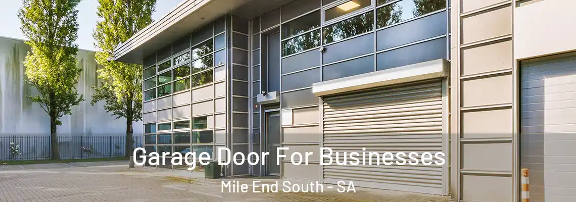  Garage Door For Businesses Mile End South - SA