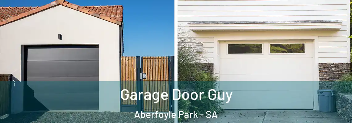  Garage Door Guy Aberfoyle Park - SA