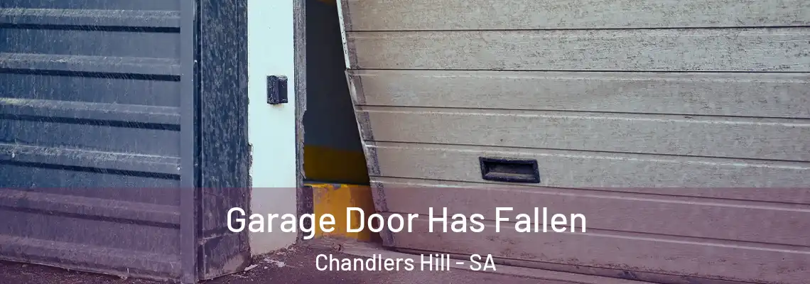  Garage Door Has Fallen Chandlers Hill - SA