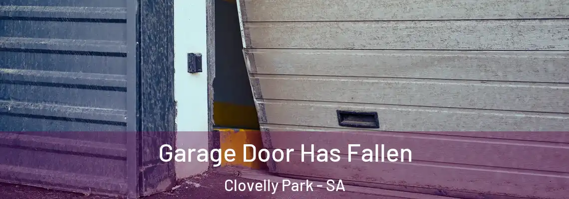  Garage Door Has Fallen Clovelly Park - SA