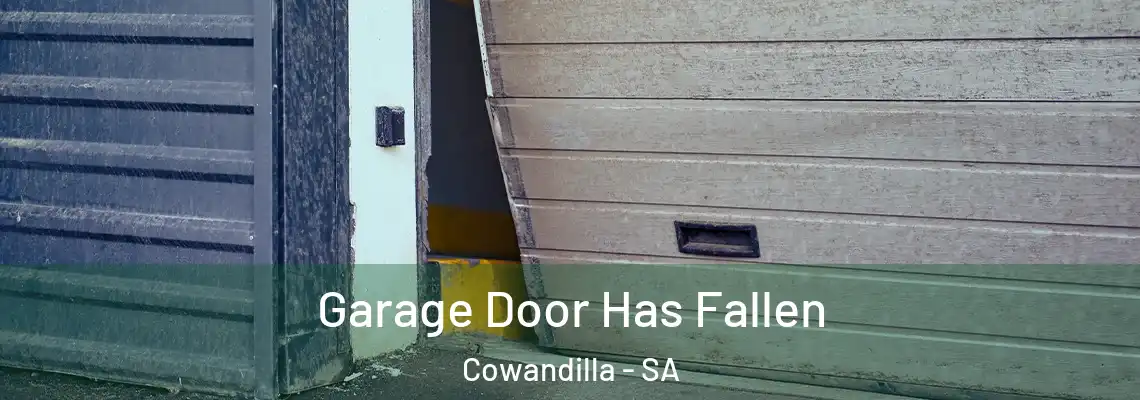  Garage Door Has Fallen Cowandilla - SA