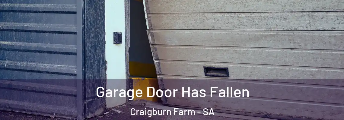  Garage Door Has Fallen Craigburn Farm - SA
