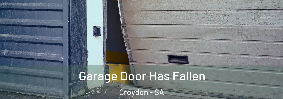  Garage Door Has Fallen Croydon - SA