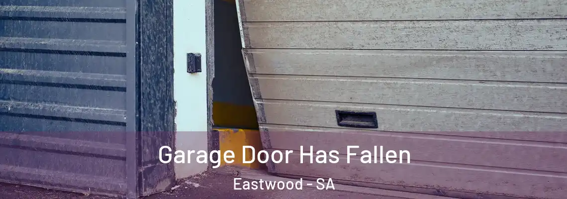  Garage Door Has Fallen Eastwood - SA