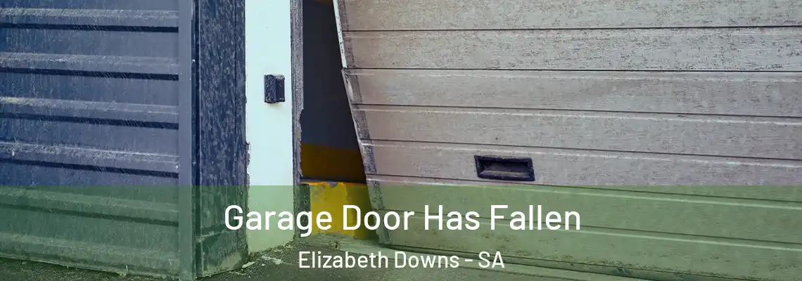  Garage Door Has Fallen Elizabeth Downs - SA