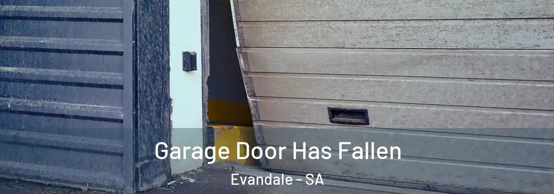  Garage Door Has Fallen Evandale - SA