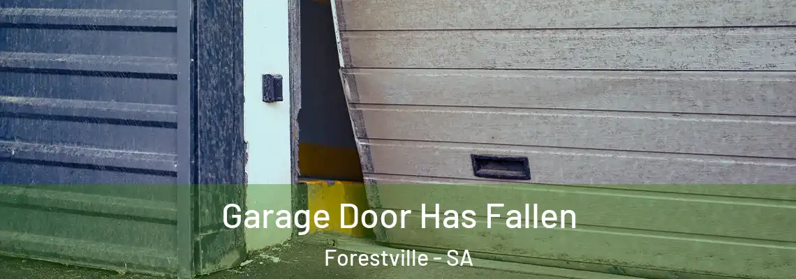  Garage Door Has Fallen Forestville - SA