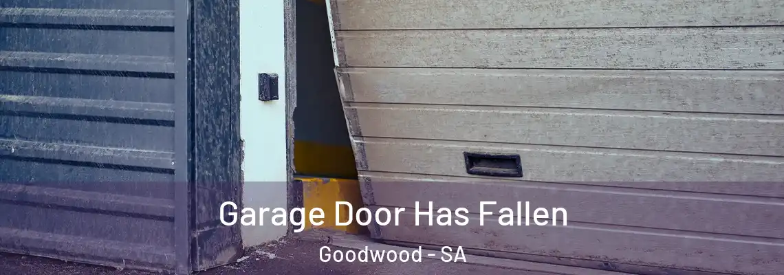  Garage Door Has Fallen Goodwood - SA