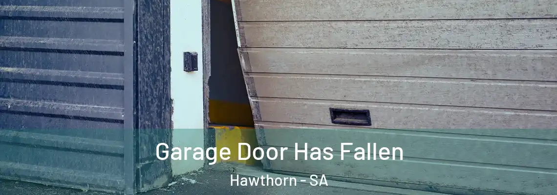  Garage Door Has Fallen Hawthorn - SA
