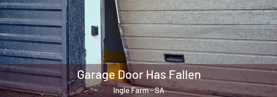  Garage Door Has Fallen Ingle Farm - SA