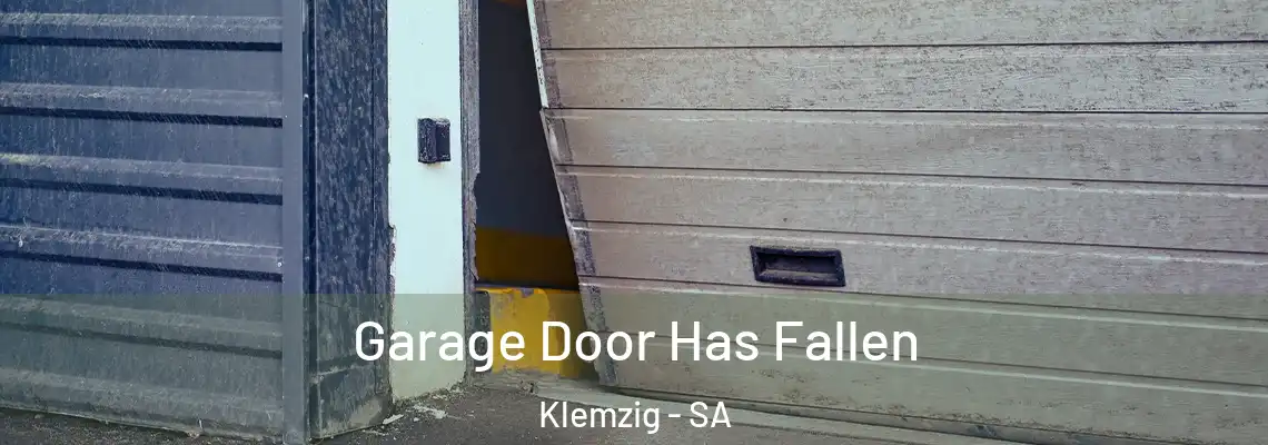  Garage Door Has Fallen Klemzig - SA
