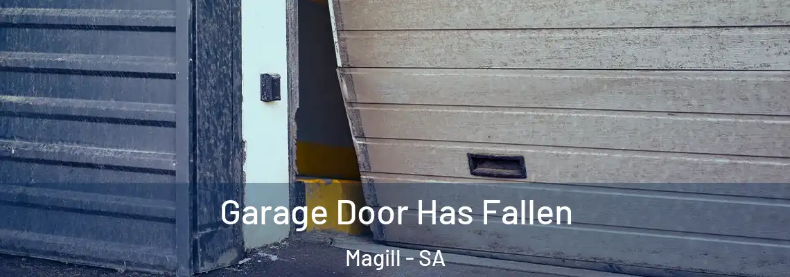  Garage Door Has Fallen Magill - SA
