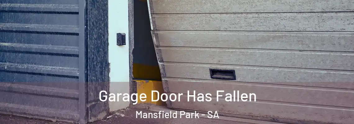  Garage Door Has Fallen Mansfield Park - SA