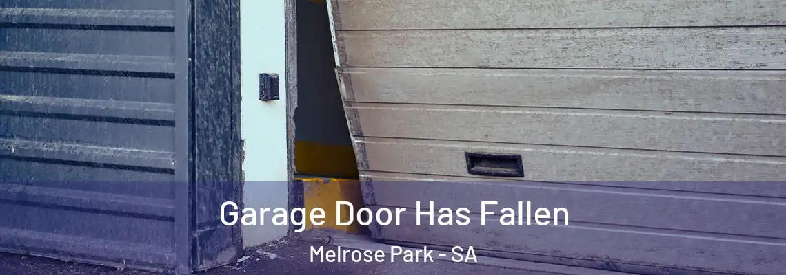  Garage Door Has Fallen Melrose Park - SA