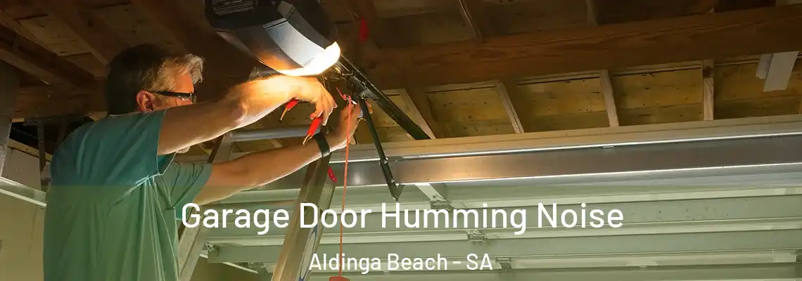  Garage Door Humming Noise Aldinga Beach - SA