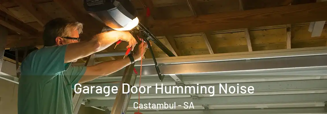  Garage Door Humming Noise Castambul - SA
