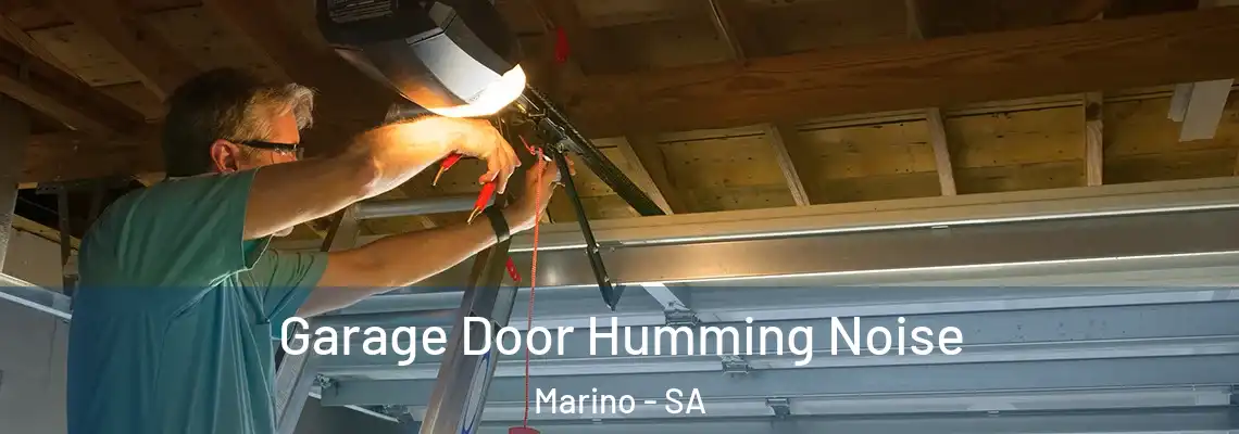  Garage Door Humming Noise Marino - SA