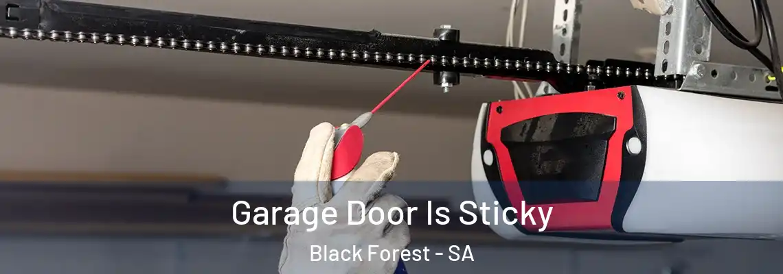  Garage Door Is Sticky Black Forest - SA
