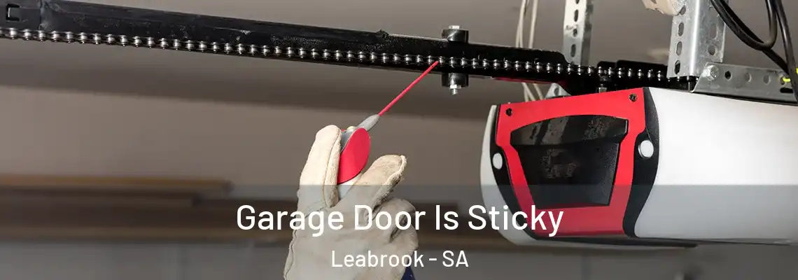  Garage Door Is Sticky Leabrook - SA