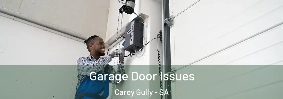  Garage Door Issues Carey Gully - SA