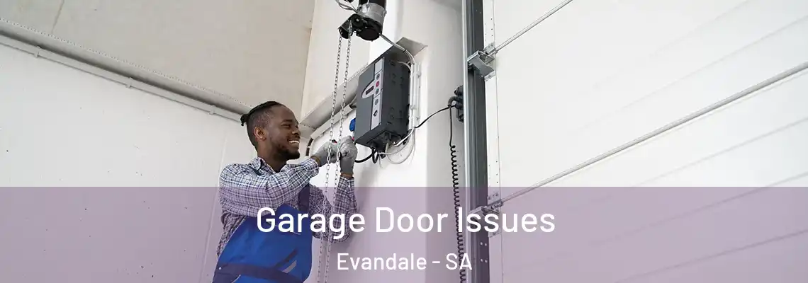  Garage Door Issues Evandale - SA