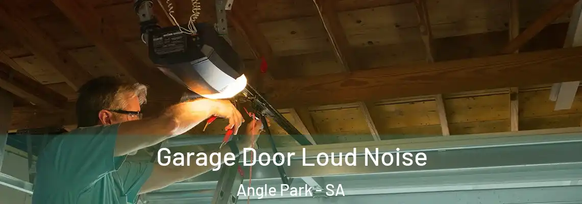  Garage Door Loud Noise Angle Park - SA