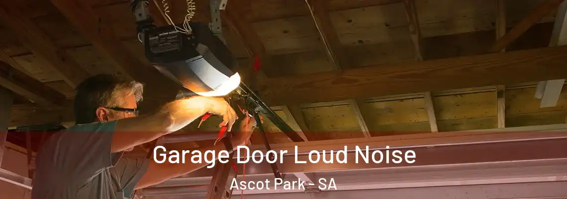  Garage Door Loud Noise Ascot Park - SA