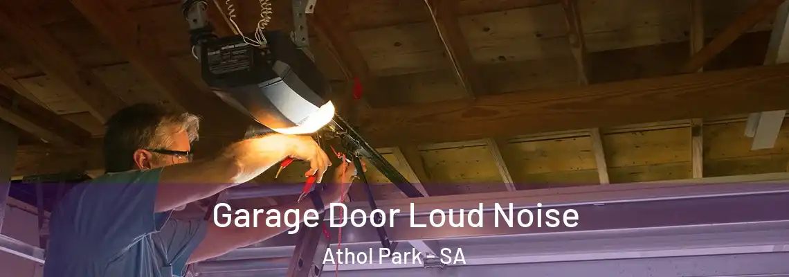  Garage Door Loud Noise Athol Park - SA