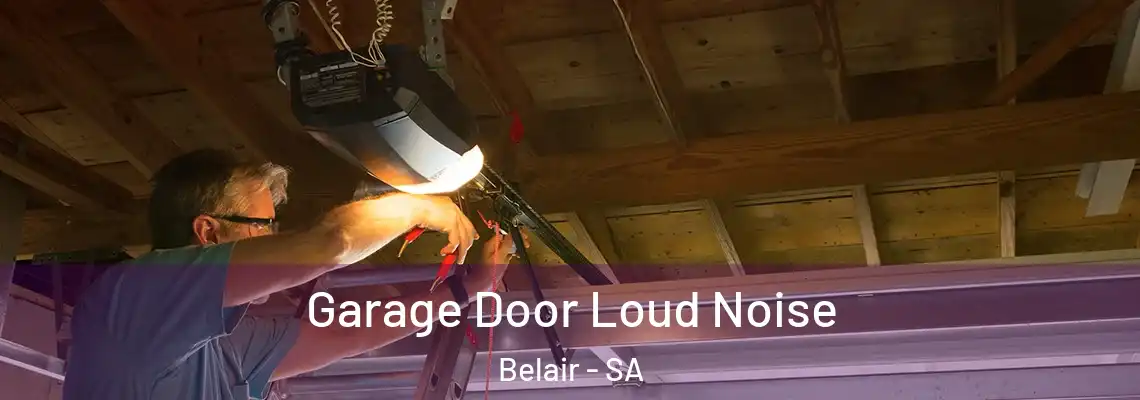  Garage Door Loud Noise Belair - SA