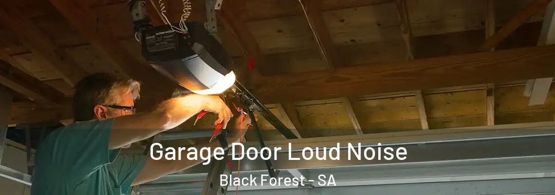 Garage Door Loud Noise Black Forest - SA