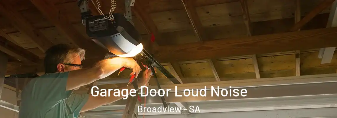  Garage Door Loud Noise Broadview - SA