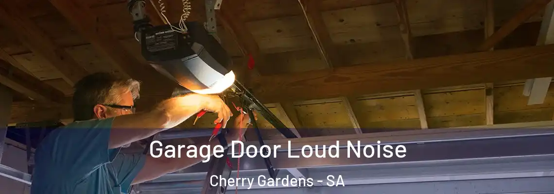  Garage Door Loud Noise Cherry Gardens - SA