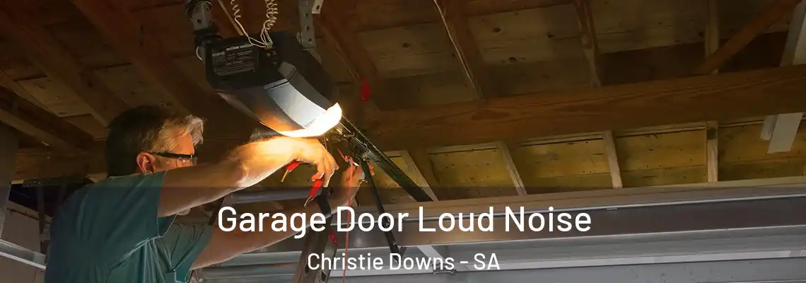  Garage Door Loud Noise Christie Downs - SA
