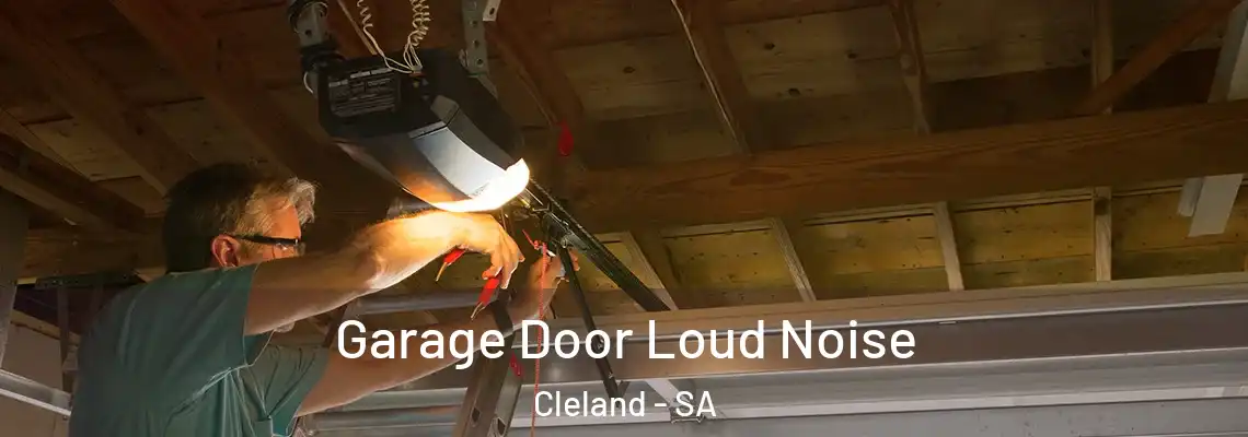  Garage Door Loud Noise Cleland - SA
