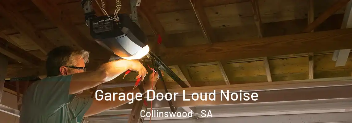  Garage Door Loud Noise Collinswood - SA