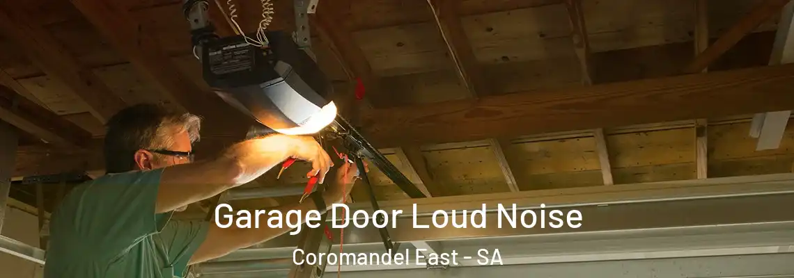  Garage Door Loud Noise Coromandel East - SA
