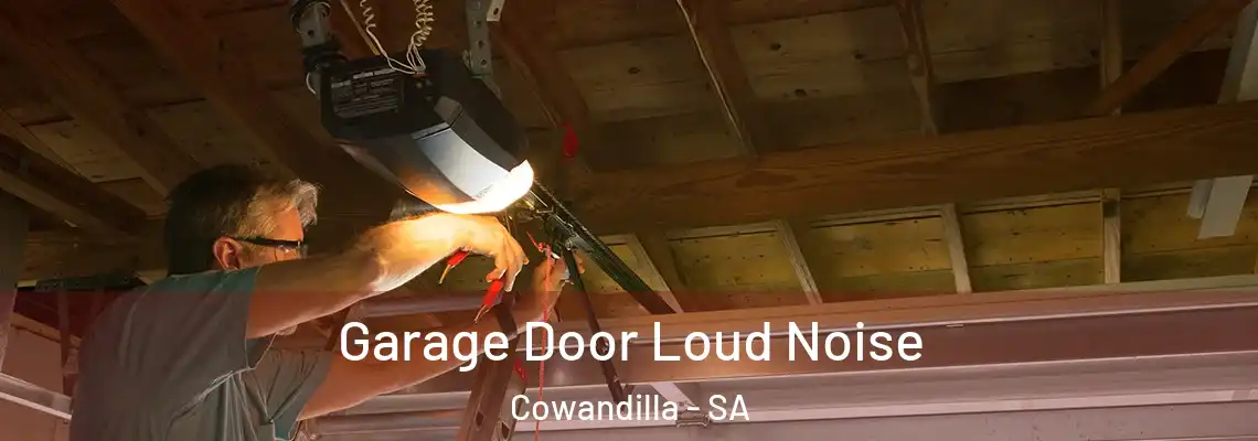  Garage Door Loud Noise Cowandilla - SA