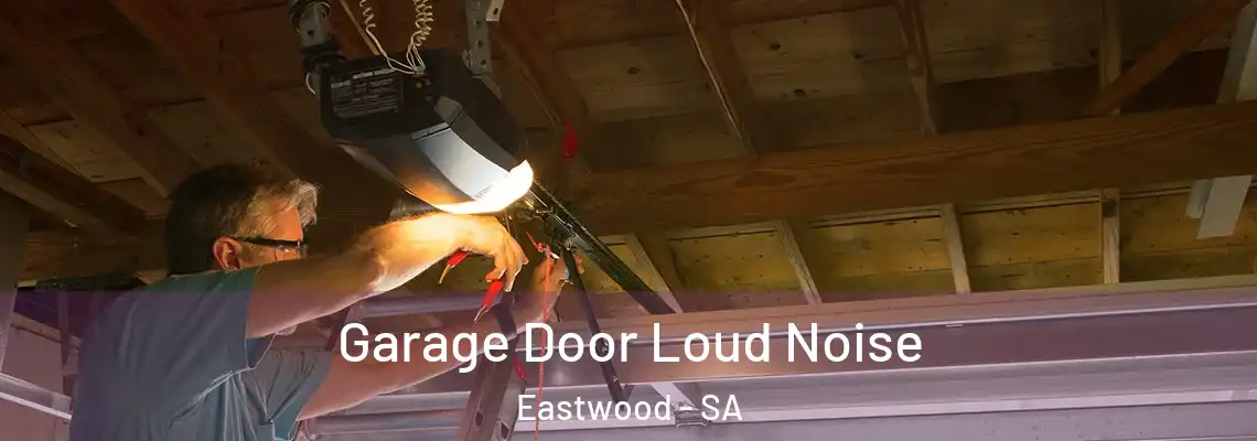  Garage Door Loud Noise Eastwood - SA