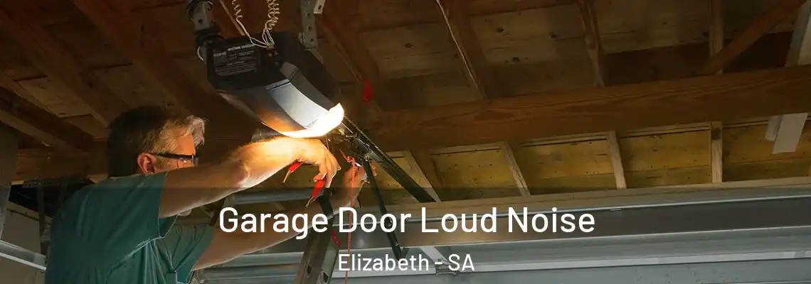  Garage Door Loud Noise Elizabeth - SA