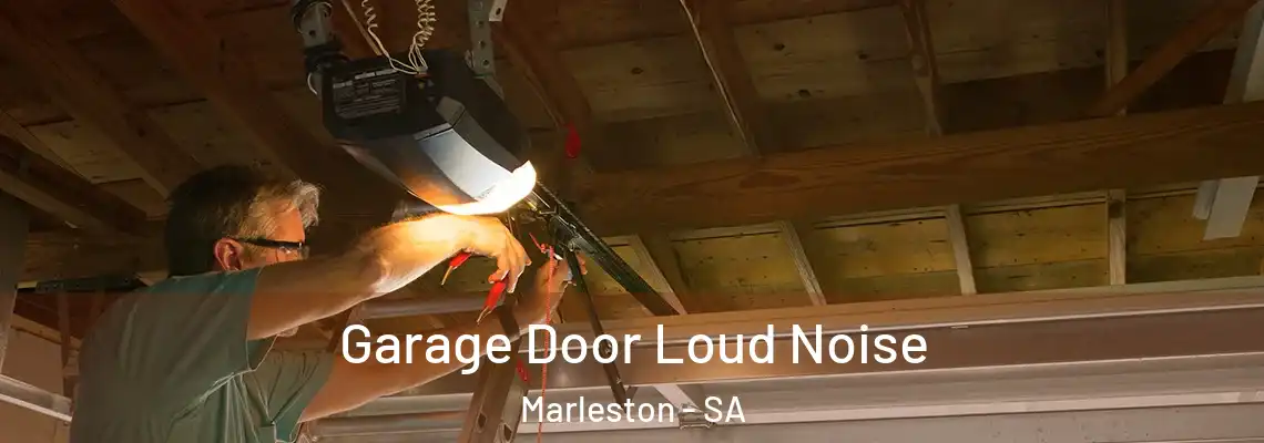  Garage Door Loud Noise Marleston - SA